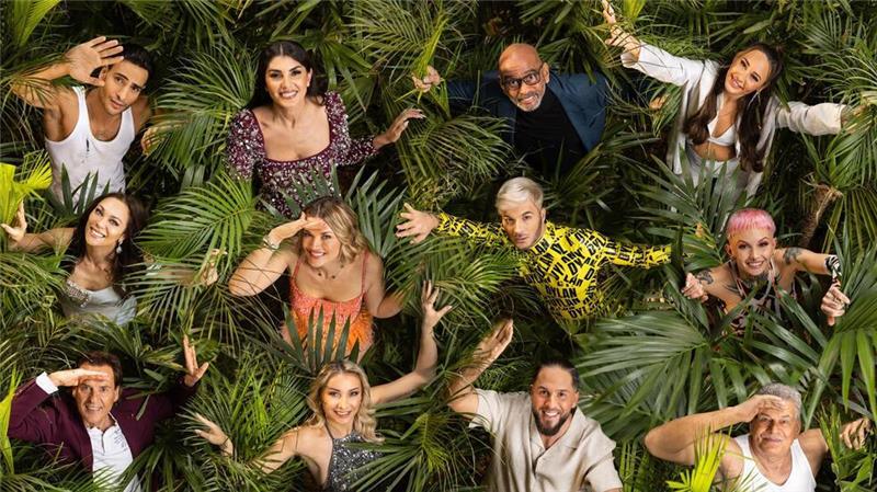 Das RTL-Dschungelcamp startet wieder.