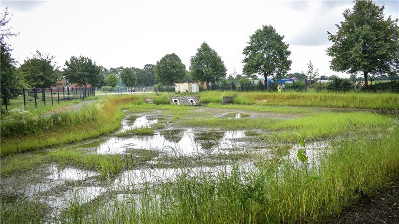 64 neue Grundstücke für Fredenbeck: Was hier ein Hausbau kostet Das Regenrückhaltebecken hat seinen Platz gefunden zwischen Grundschule und Kindergarten.