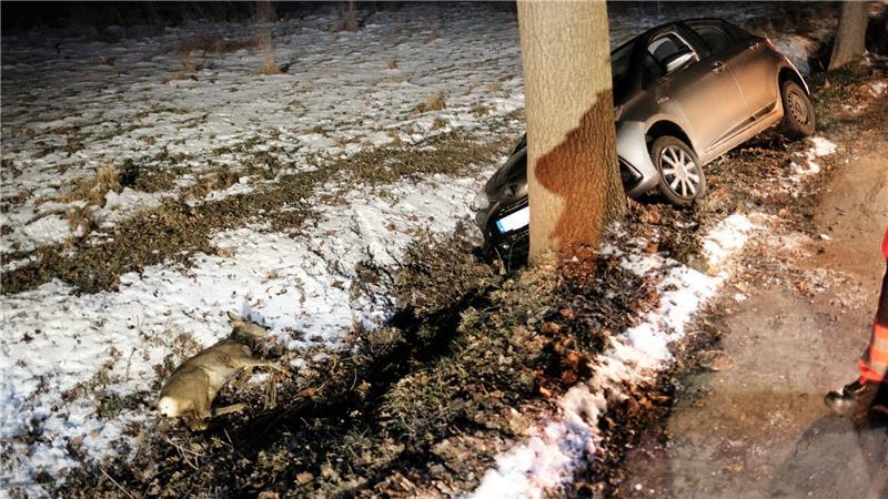 Das Reh verendete noch an der Unfallstelle.