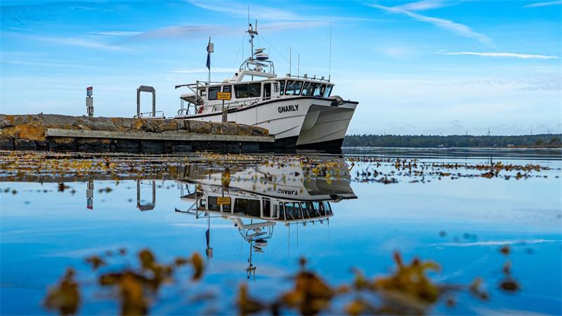Munitionskiste und Kettenhemd im Wrack der „Gribshunden“ Das Schiff ist bei Ronneby in Südschweden gesunken.