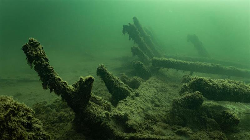 Munitionskiste und Kettenhemd im Wrack der „Gribshunden“ Das Schiffswrack gilt als eines der am besten erhaltenen des späten 15. Jahrhunderts.