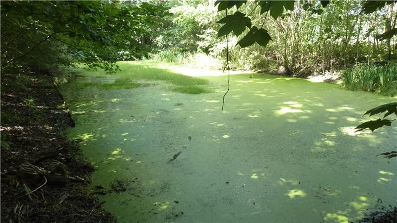 Das Schwimmbecken der Badeanstalt heute . Foto: Dietrich Alsdorf