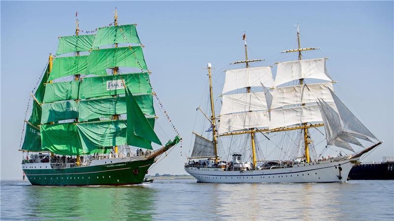Das Segelschiff „Alexander von Humboldt II“ fährt unter seinen grünen Segeln zu Beginn der Sail Bremerhaven.