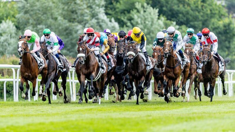 Das Starterfeld geht mit „Fantastic Moon“ mit Jockey René Piechulek (2. v. r, verdeckt) auf die Gerade vor der Haupttribüne.