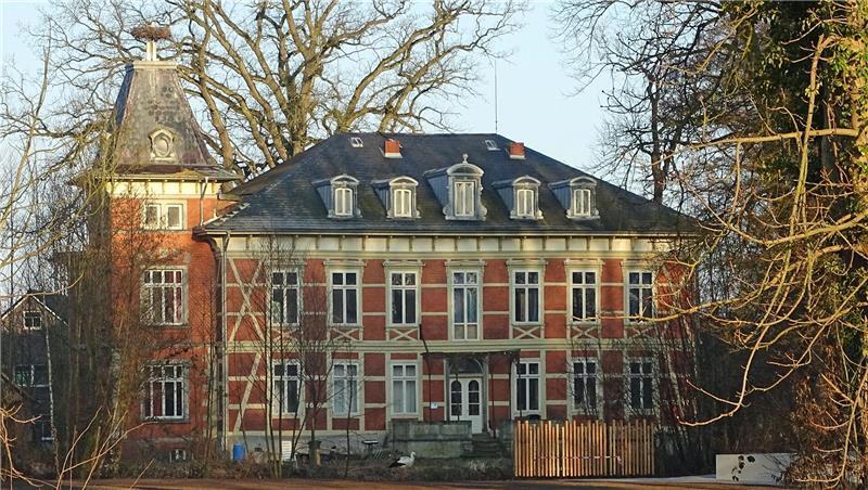 Die Horneburger Schloss-Störche sind wieder da Das Storchennest befindet sich auf dem Turm des Horneburger Schlosses.