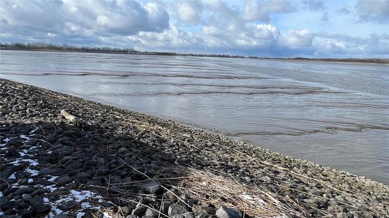 Das Süßwasserwatt an der Hahnöfer Nebenelbe ist unter einem Schlickberg verschwunden.