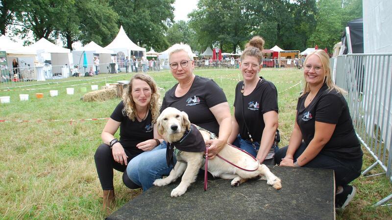 Das Team von Dog Acitivity aus Mulsum hat ein Parcours für Golden Retriever Abby und ihre vierbeinigen Freude aufgebaut