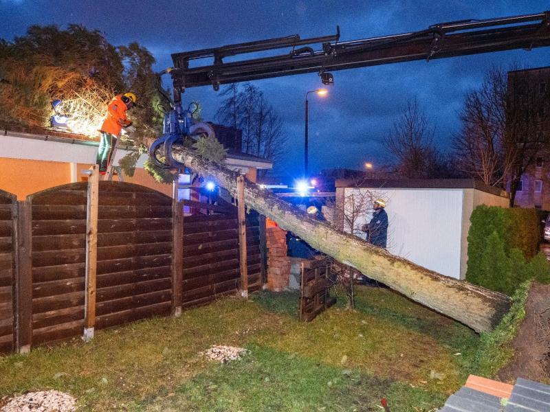 Das Technische Hilfswerk räumt in Stralsund einen umgestürzten Baum von einem Dach. Foto: Stefan Sauer/dpa