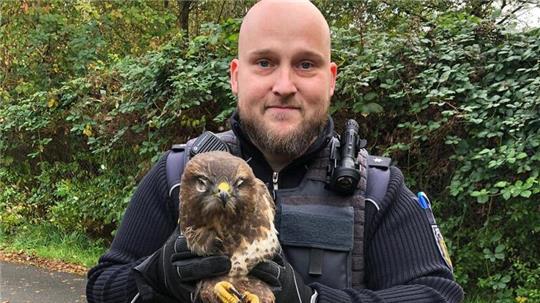 Das Tier war vermutlich auf der A23 mit einem Fahrzeug zusammengestoßen, es hatte aber keine gebrochenen Flügel.