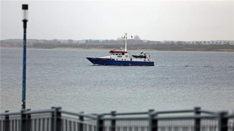 Buckelwal vor Ostseeküste: Die Lage bleibt kritisch Das Tier war zwischenzeitlich abgetaucht, wurde aber am Dienstagvormittag erneut gesichtet. (Archivbild)