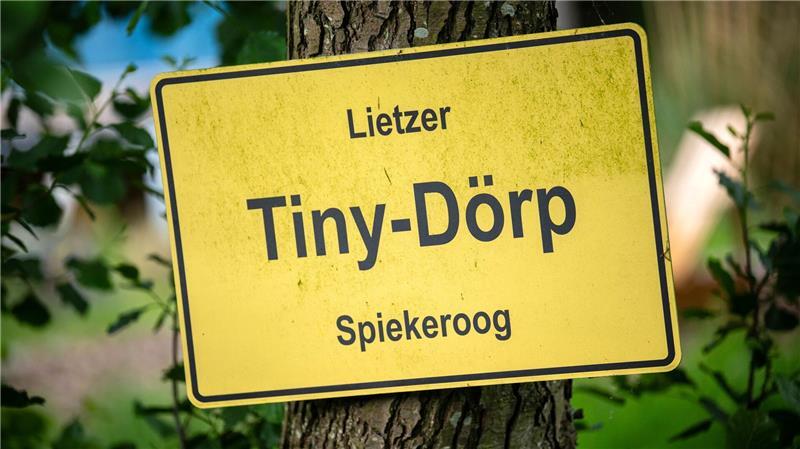 „Tiny-Dörp“ am Spiekerooger Inselinternat soll wachsen Das „Tiny-Dörp“ gibt es seit zwei Jahren auf Spiekeroog.