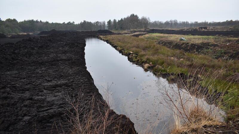 Protest im Stader Kreishaus: Landwirte stoppen Naturschutzgebiet Das Torfabbaugebiet soll nach dem Abbau zum Naturschutzgebiet werden.