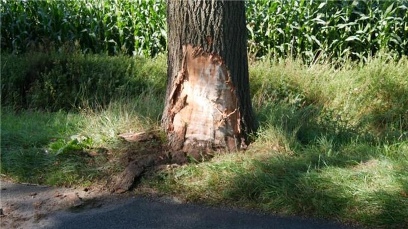 Das Unfallfahrzeug kam nach etwa 60 Metern im Grünstreifen an einer Eiche zum Stillstand und prallte frontal gegen einen Baum.