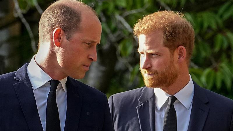 Was Harry und Meghan in Großbritannien erwartet Das Verhältnis Harrys (rechts) zu seinem Bruder William (links) soll besonders zerrüttet sein. (Archivfoto)