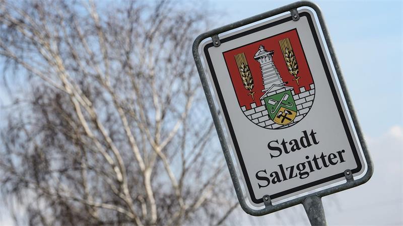 Stichwahl-Duell – Salzgitter als AfD-Hochburg im Fokus Das Wappen der für ihren Stahl bekannten Stadt Salzgitter. (Archivbild)