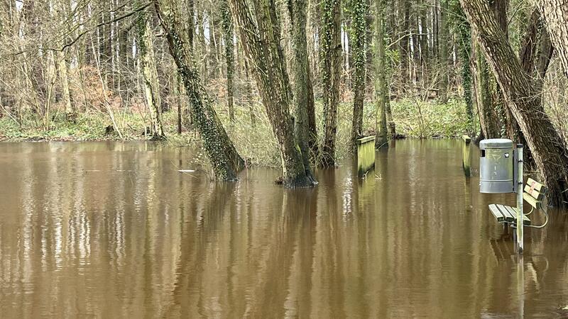Das Wasser aus den höhergelegenen Klosterteichen floss in Harsefeld über den Campingplatz Richtung Freibad ab.