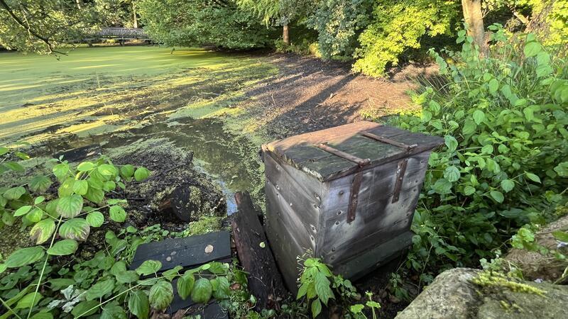 Wie der Gestank am Agathenburger Schloss weichen soll Das Wasser wird abgelassen, damit die Teiche im Schlosspark im September entschlammt werden können.