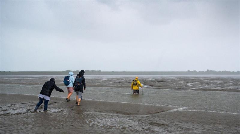 Flut, Seenebel und andere Gefahren – Tipps für Wattwanderer Das Wattenmeer ist durchzogen von Wasserläufen. Nicht überall sind Priele zu durchqueren. (Archivbild)