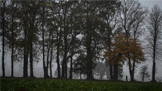 Das Wetter ändert sich, es wird kälter und regnerisch in Niedersachsen und Bremen. (Symbolbild)