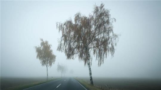 Das Wetter bleibt wechselhaft mit gebietsweise Regen, Nebel und Frost. (Symbolbild)
