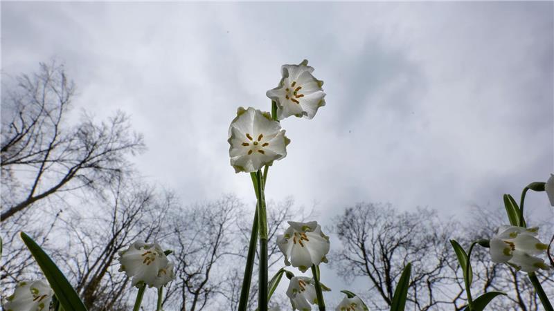 Das Wetter in Deutschland zeigt sich in den kommenden Tagen von seiner ungemütlichen Seite. (Symbolbild)