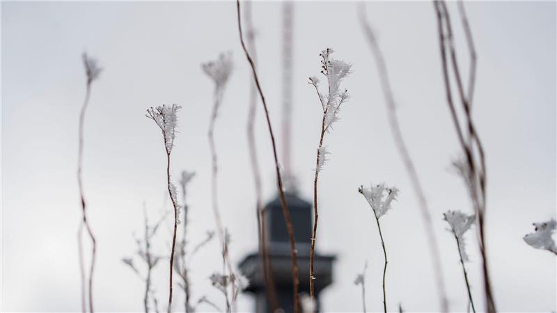 Das Wetter zum Wochenende wird wechselhaft.