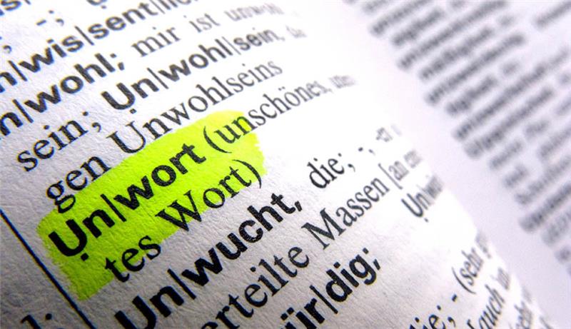 Das Wort "Unwort" ist in einem Wörterbuch zu lesen. Die Jury der sprachkritischen Aktion hat "Klimaterroristen" zum "Unwort des Jahres" 2022 gewählt. Foto: Stephan Jansen/dpa