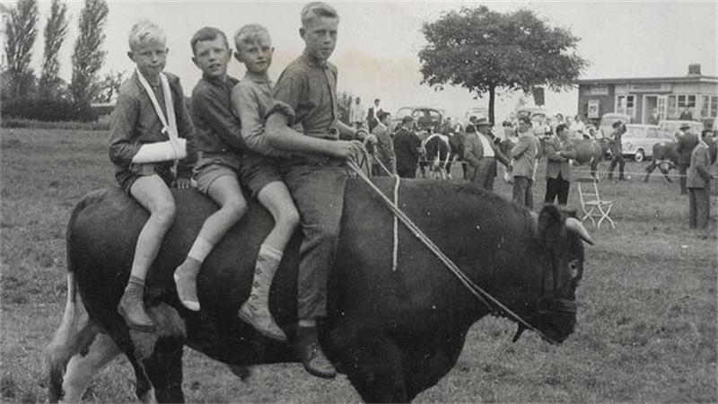 Das erste Rätsel ist gelöst: der Bullenritt der Eylmann-Brüder Klaus, Robert und Heinrich sowie Spielkamerad Heinz von Borstel (Zweiter von rechts).