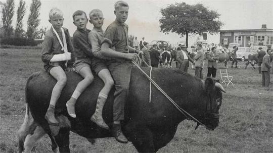 Das erste Rätsel ist gelöst: der Bullenritt der Eylmann-Brüder Klaus, Robert und Heinrich sowie Spielkamerad Heinz von Borstel (Zweiter von rechts).