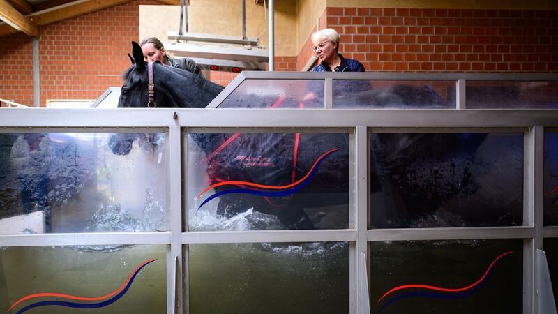 Das gelenkschonende Üben bei sanftem Widerstand bringe auch viel für die Kondition.