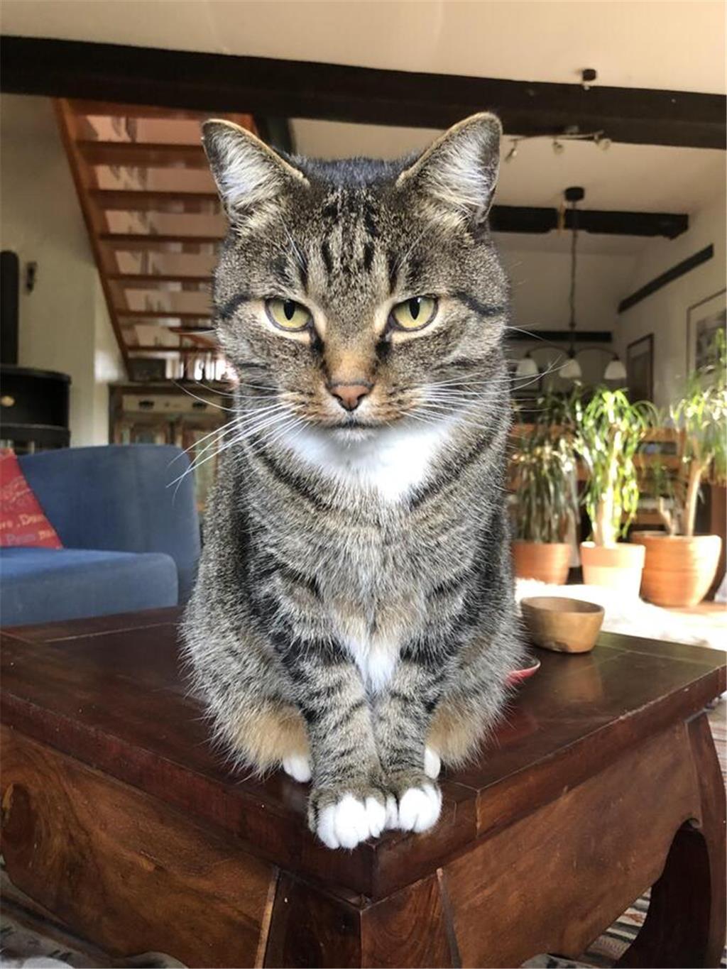 "Das ist Davos. Er ist 12 und in unserem Zoo der Chef", schreibt Daniel Berlin.