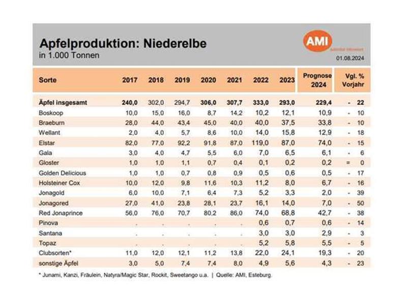Beginn der Apfelsaison: Freude über Qualität und Enttäuschung über Politik Das ist die Ernteprognose für die Apfelsaison 2024/2025 an der Niederelbe.