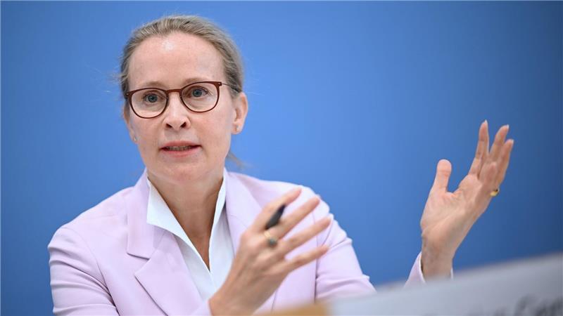 Was Schwarz-Rot von der Ampel unterscheidet – oder was nicht Das lief gar nicht gut für die schwarz-rote Koalition: Die Wahl der Juristin Frauke Brosius-Gersdorf ans Bundesverfassungsgericht scheiterte kurz vor der Sommerpause an der Union. (Archivbild)