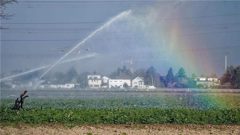 Das seit Tagen anhaltende trockene Frühlingswetter soll am Sonntag vielerorts vorerst vorbei sein.