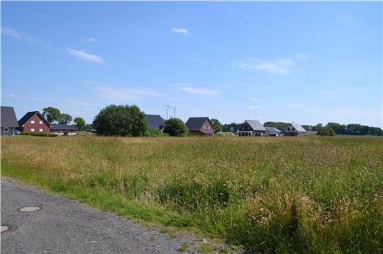 Das südliche Wohngebiet Im Hoffeld grenzt jetzt an eine Wiese. Auch dort soll gebaut werden unter anderem ein Mehrgenerationenprojekt. Foto: Helfferich