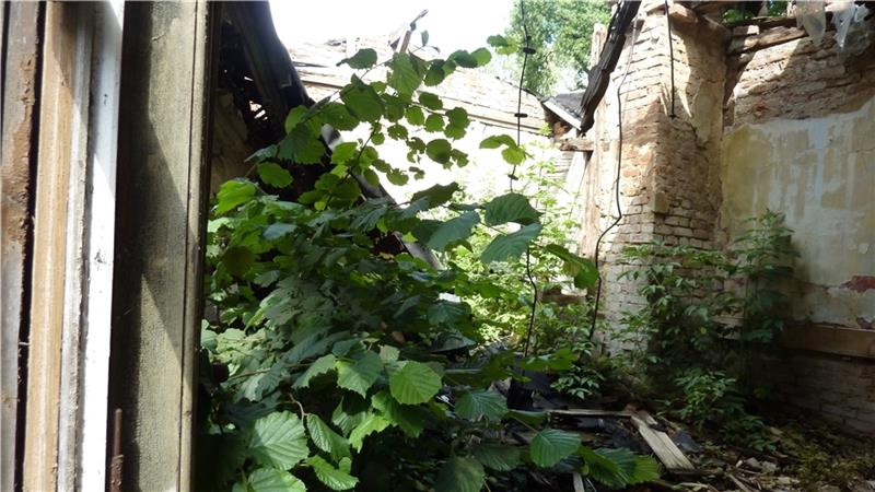 Das verfallene Bahnhofsgebäude innen