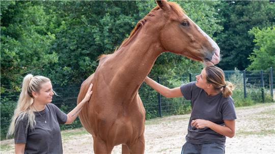 Das vom Tierheim Bubi genannte irische Rennpferd wird von Nadine Bruns (rechts) und Denise Vohs aufgepäppelt. Foto: Scheschonka