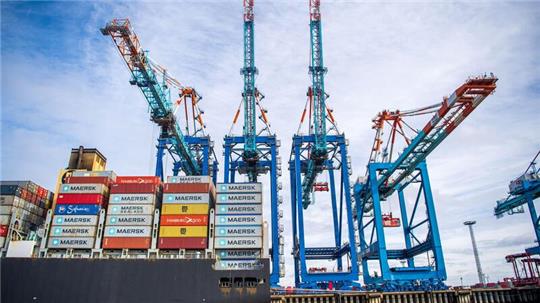 Das von den Spinnen befallene Schiff wird voraussichtlich noch einige Wochen in Bremerhaven bleiben. (Illustration)