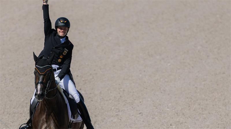 Deutsches Dressur-Team bei WM auf Gold-Kurs Debütant Raphael Netz brachte Deutschland schon in Führung.