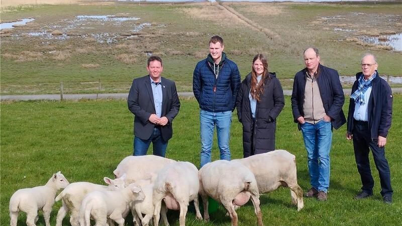 Deichbandvorsteher Peter Aengeneyndt (von rechts), Deichschäfer Gerd Groen und Anne Eilts mit Jannek Haats-Voltjes von der Deichschäferei Feldhausen sowie Bürgermeister Axel Linneweber freuen sich über gesunde Mutterschafe mit Lämmern am Deich in Feldhausen.