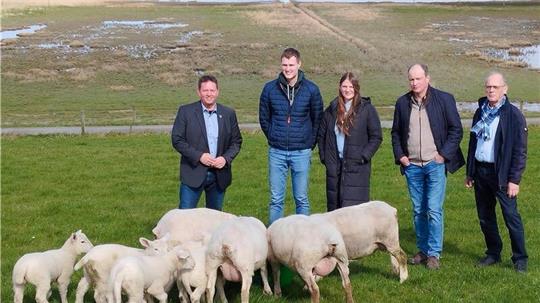 Deichbandvorsteher Peter Aengeneyndt (von rechts), Deichschäfer Gerd Groen und Anne Eilts mit Jannek Haats-Voltjes von der Deichschäferei Feldhausen sowie Bürgermeister Axel Linneweber freuen sich über gesunde Mutterschafe mit Lämmern am Deich in Feldhausen.