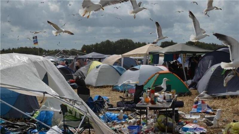 Blick in ein Zeltlager des Festivals Deichbrand, in dem zahlreiche Möwen herumflattern. 