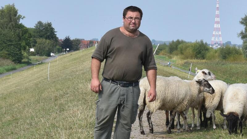 Deichschäfer Vasile Buza sorgt sich um das Leben seiner Tiere.