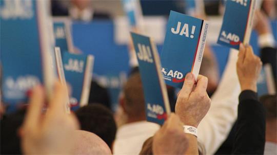 Delegierte der AfD stimmen bei der Aufstellungsversammlung zur Landtagswahl ab.