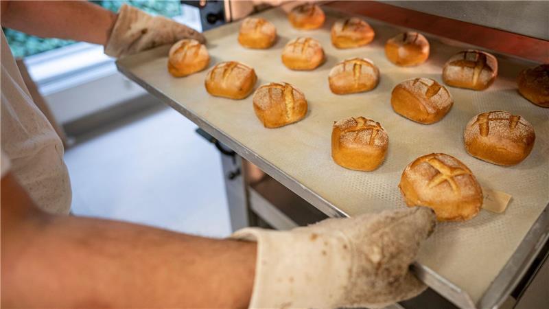 Ein Mitarbeiter schiebt in der Bäcker-Innung Berlin Blech mit Brötchen in den Ofen. 