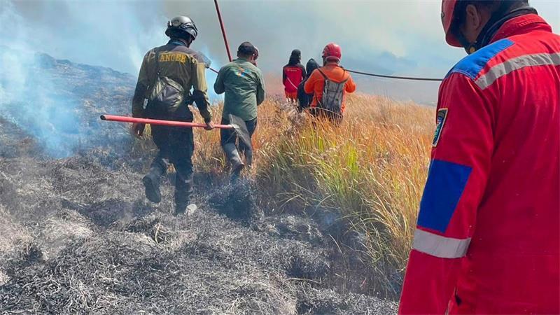 Waldbrand am Vulkan Bromo: Sperrungen für Touristen Dem Feuer sind schon 70 Hektar Land zum Opfer gefallen.