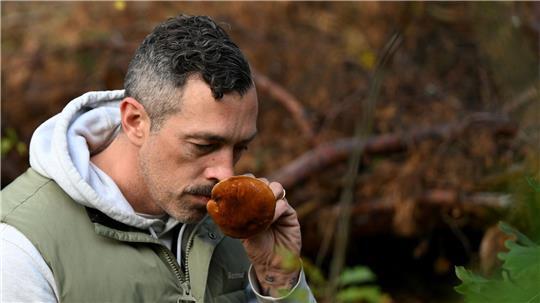 Trendhobby Pilzesammeln: Der Wald als „bullshitfreie Zone“ Dem Influencer folgen auf Instagram Tausende.