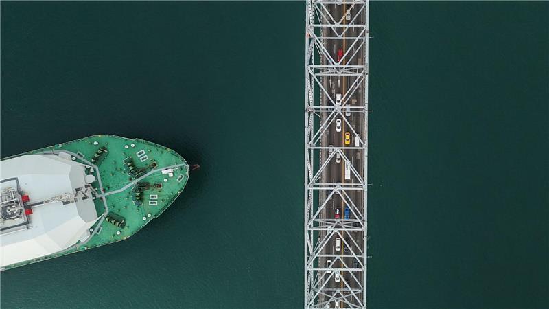 Dem NABU zufolge zahlen große Reedereien unzureichend Steuern. (Archivbild)