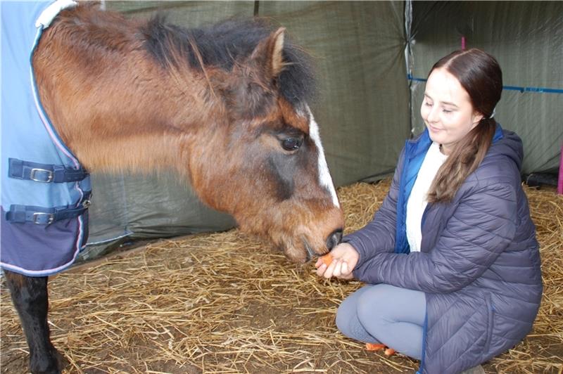 2000 Euro Belohnung für Hinweise: Wer hat auf das Pony in Apensen eingestochen? Dem fast blinden Pony Fee geht es wieder gut und es wird von Gnadenhof-Betreiberin Sandy Haarke liebevoll versorgt. Foto: Laudien