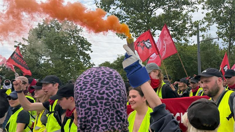 Mehr als 30.000 Menschen protestieren gegen AfD-Parteitag Demonstranten haben Rauchfackeln angezündet.